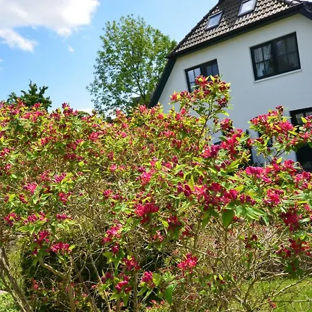 Dom wakacyjny Ferienhaus-seeadler-in-gross-zicker-halbinsel-moenchgut
